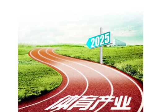 Szsports association news image 20170103163941